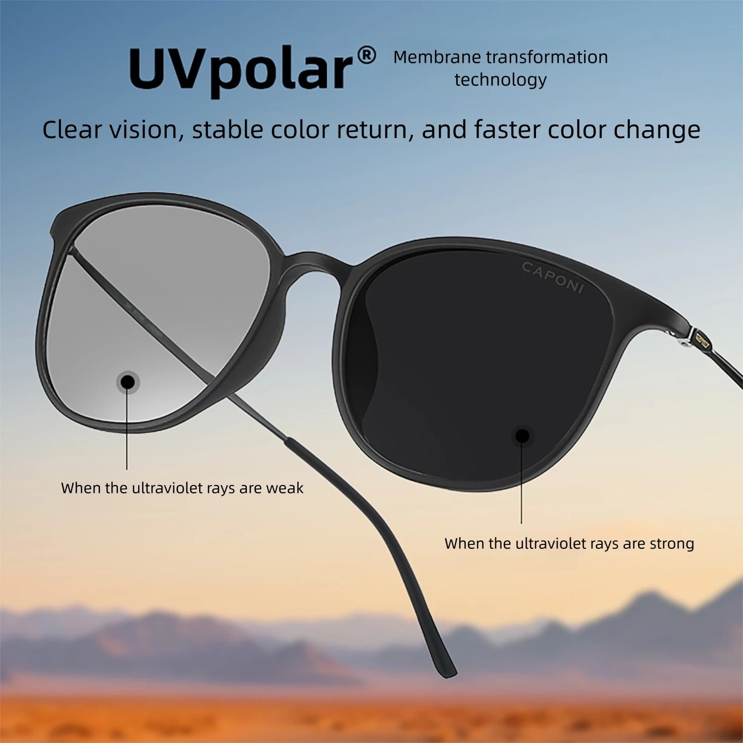 The Stealth Lite: CAPONI Photochromic Titanium Sunglasses